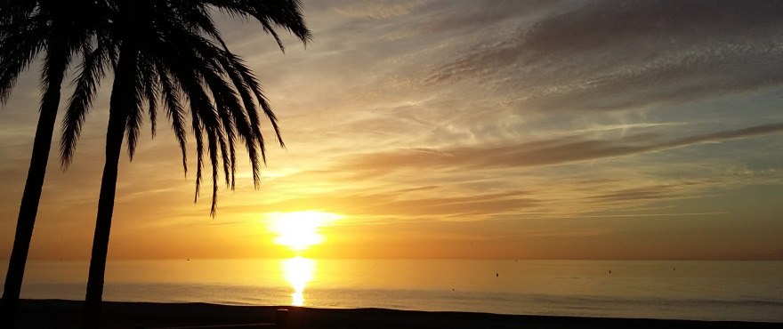 2-bed Apartment in Estepona — Stunning New Luxury Apartment in Estepona, photo 32
